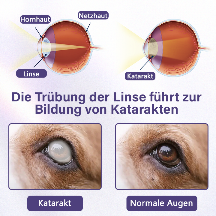 Timilk® NanoCare Augentropfen für Haustiere 🔥