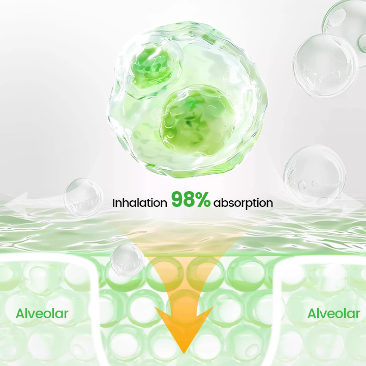 Timilk® Pulmovia Quercetin Lung Detox Inhaler 🔥